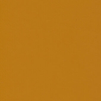 Mustard yellow matte surface displaying a uniform, granular texture with even lighting and a flat, consistent plane throughout the composition.